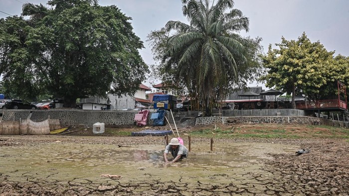 Warga mencari ikan di kubangan lumpur yang tersisa saat Danau Cinere mengering di Depok, Jawa Barat, Senin (28/9/2026). BMKG menyatakan ancaman kekeringan di Indonesia diprediksi akan berakhir seiring masuknya musim hujan mulai Oktober-Desember 2026, meskipun fenomena El Nino di Samudra Pasifik diprediksi bertahan hingga kuartal I 2027. ANTARA FOTO/Sulthony Hasanuddin/nym.
