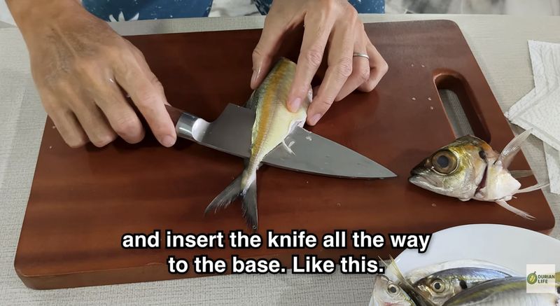 Keluarga Jepang Ini Bikin Sashimi dari Ikan Lokal