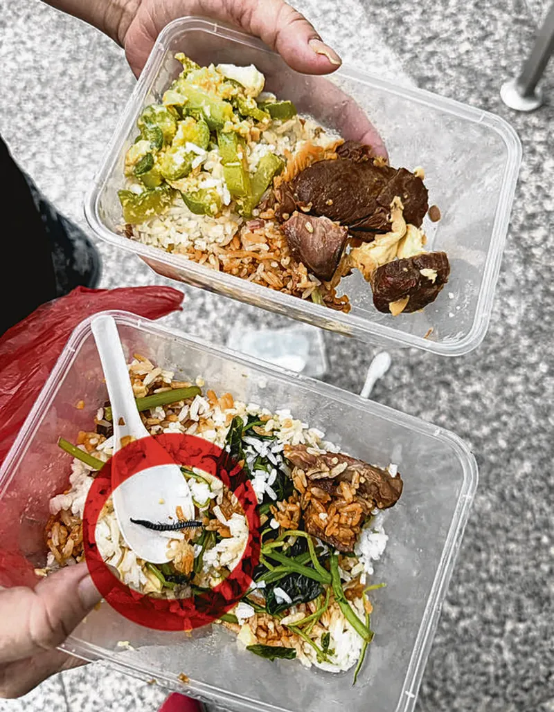 Pelanggan Temukan Kelabang 4 Cm di Nasi Campur.