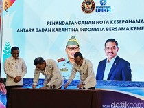 Menteri UMKM Dorong Durian Sulteng Kuasai Pasar China