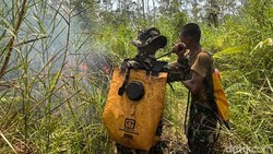 Karhutla di Way Kambas, BPBD Lampung Jajaki Operasi Modifikasi Cuaca