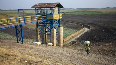 Waduk Cipancuh Mengering, Irigasi Sawah di 5 Kecamatan Terdampak