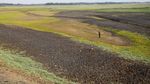 Waduk Cipancuh Mengering, Irigasi Sawah di 5 Kecamatan Terdampak
