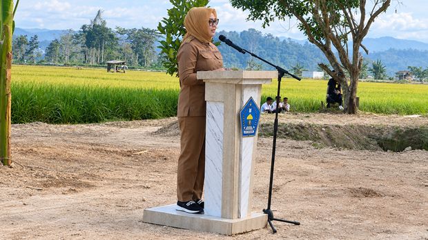 Wali Kota Kendari, Siska Karina Imran, saat menghadiri Panen Padi Sawah Musim Tanam Kedua di Poktan Samaendre, kawasan persawahan Amohalo. (Dok. Istimewa) Wali Kota Kendari, Siska Karina Imran, saat menghadiri Panen Padi Sawah Musim Tanam Kedua di Poktan Samaendre, kawasan persawahan Amohalo.