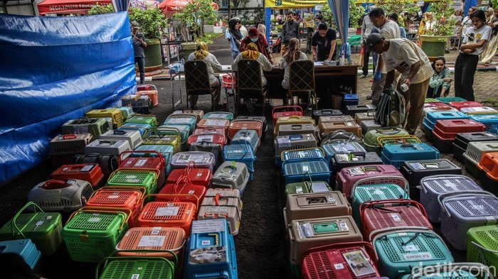 Anabul Warga Antre Jalani Sterilisasi