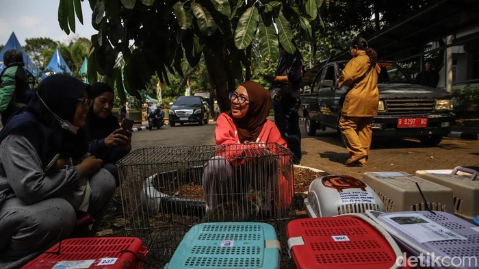 Anabul Warga Antre Jalani Sterilisasi