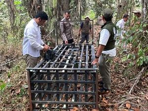 Beruang Serang Warga Saat Panen Sawit di Kobar, BKSDA Pasang Perangkap