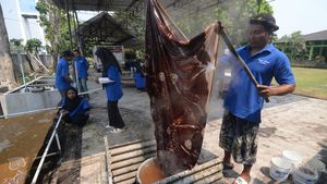 Dari Cipratan Jadi Cuan, Warga Disabilitas Berkarya Lewat Batik di Klaten