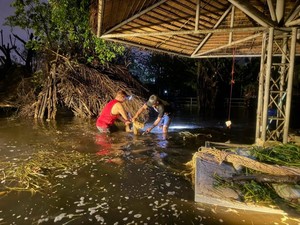 6 Rusa di Taman Hiburan Tak Bisa Terselamatkan saat Banjir Melanda Bangkok