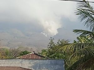 Ile Lewotolok Kembali Erupsi, Aliran Lava Bakar Vegetasi di Lereng Gunung