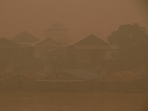 Kabut Asap Karhutla Pukul Petani Sayuran di Palangka Raya