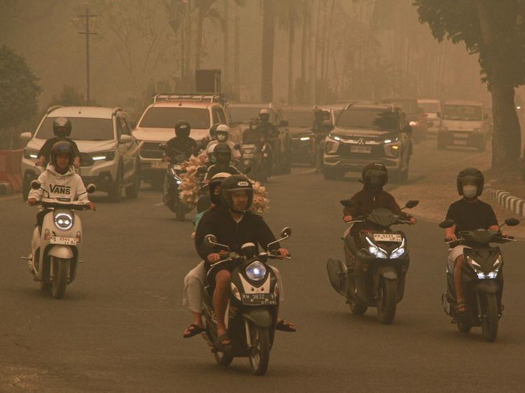 Kualitas Udara Palangka Raya Berbahaya, Kabut Asap Ancam Kesehatan