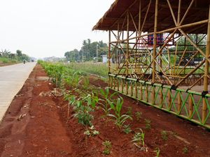 Pemkab Bogor Menata Lahan Bomang, Dari Pertanian hingga Area Ekowisata