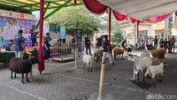 Ajang ini diikuti peserta dari berbagai kota di Jawa Timur seperti Banyuwangi, Batu, Malang, dan Pasuruan mengikuti kontes domba di Kawasan Wonorejo Terpadu.