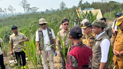Menhut Sebut Pencegahan Karhutla Harus Libatkan Peran Warga dan Hukum
