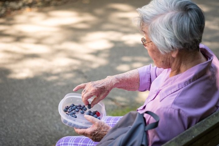 Nenek makan blueberry. Ilustrasi