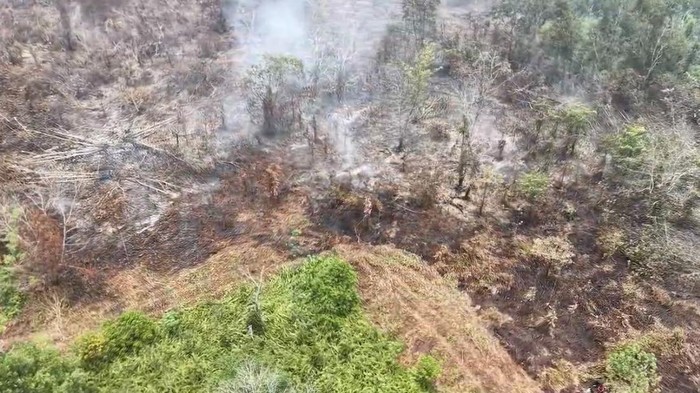 Penampakan kebakaran di hutan lindung gambut (HLG) Londerang, Jambi