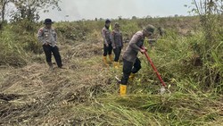 Karhutla di TNBS Jambi Diperkirakan Capai 1.000 Hektare