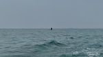 Mancing Mania! Serunya Seharian Mancing di Tengah Laut Jakarta Utara