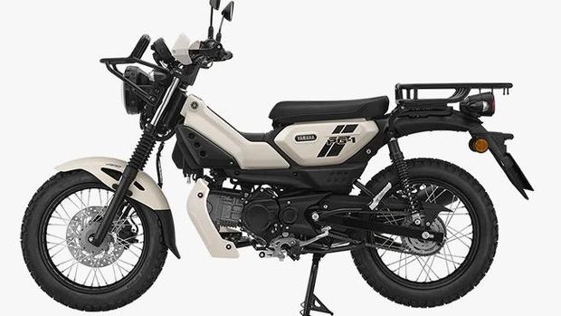 Yamaha PG-1 Special Edition Yamaha PG-1 Special Edition