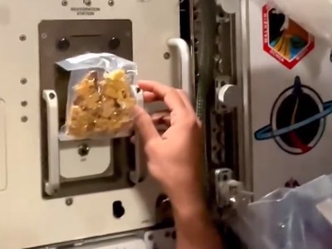 Astronot bikin salad di luar angkasa Nggak Sembarangan, Begini Cara Astronot Bikin Salad di Luar Angkasa