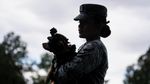 Comando, Chihuahua Kecil yang Jadi Bagian dari Tentara Meksiko
