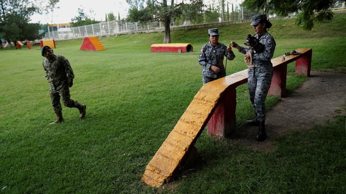 A member of the National Guard stands next to Comando, a Chihuahua adopted by Mexico's National Guard that has become one of the force's most recognizable public faces through appearances at ceremonies and community events, at a military base in Mexico City, Mexico, September 29, 2026. REUTERS/Toya Sarno Jordan