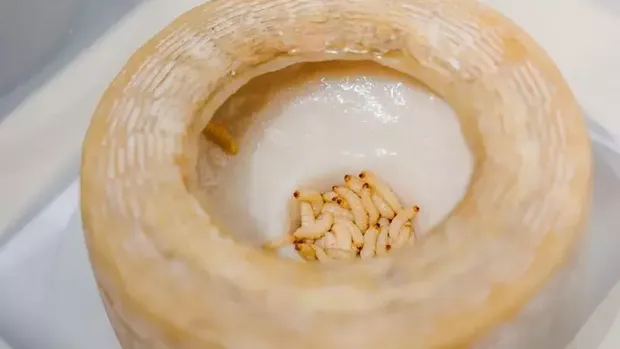 Disgusting Food Museum yang hadir di Hong Kong Disgusting Food Museum yang hadir di Hong Kong