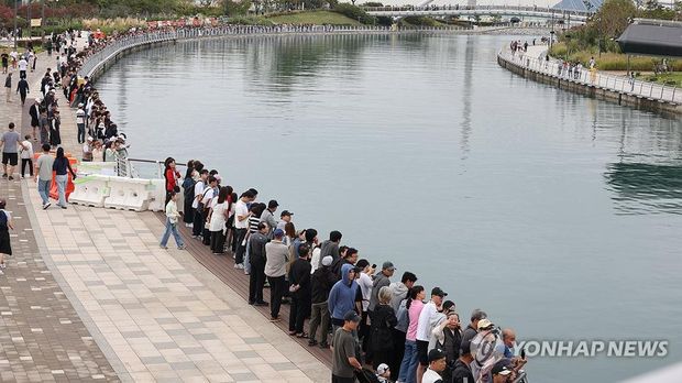 Hiu 3,5 Meter Nyasar ke Kanal Kota Hiu 3,5 Meter Nyasar ke Kanal Kota