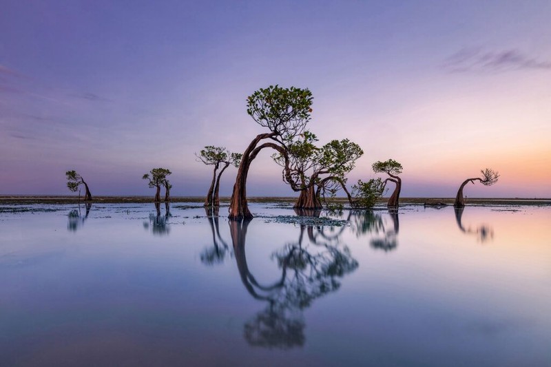 Karya Mohammed Muhtasib