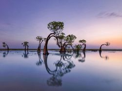 Karya Fotografer Terbaik Dunia Ini Ternyata Banyak Memotret Indonesia