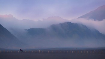 Foto ini meraih Perunggu kategori Minimalisme. Di tengah keheningan vulkanik Bromo, seekor kuda yang sendirian menjadi simbol ketahanan, tradisi, dan ikatan tenang antara manusia dan alam. Foto: Mohammed Muhtasib