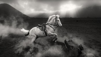 Foto ini meraih Perunggu di kategori Open B&W. Selama kompetisi berkuda tradisional di Bromo, Indonesia, seekor kuda yang marah meledak dalam perlawanan, menendang awan debu vulkanik saat menghadapi pawangnya. Postur garang dan gerakan tegang hewan itu menggambarkan intensitas mentah dari kontes tersebut, di mana kekuatan, kendali, dan semangat berbenturan dengan lanskap vulkanik yang tandus. Foto: Mohammed Muhtasib