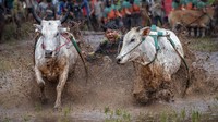 Karya Fotografer Terbaik Dunia Ini Ternyata Banyak Memotret Indonesia