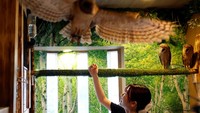 Owl Otter Cafe merupakan fasilitas yang mengusung konsep kesejahteraan hewan. Berdasarkan informasi pengelola, satwa yang berada di tempat tersebut merupakan hewan yang telah diselamatkan karena mengalami cedera atau sakit, serta keturunan satwa yang sebelumnya dirawat organisasi kesejahteraan hewan. REUTERS/Kim Kyung-Hoon