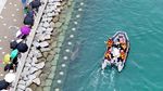 Petugas Berjibaku Kembalikan Hiu Terjebak di Kanal ke Laut