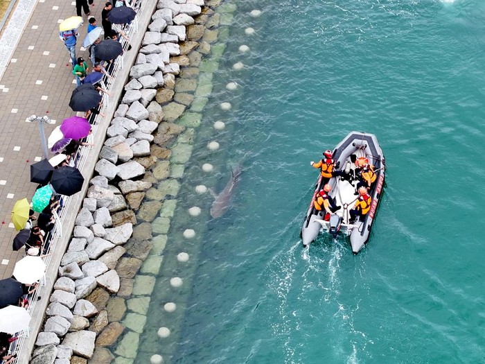 People take pictures of a shark that has been trapped in a canal since September 18 in Busan, South Korea, September 20, 2026. Yonhap via REUTERS  THIS IMAGE HAS BEEN SUPPLIED BY A THIRD PARTY. NO RESALES. NO ARCHIVES. SOUTH KOREA OUT. NO COMMERCIAL OR EDITORIAL SALES IN SOUTH KOREA.