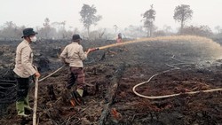 Satgas Lakukan Pendinginan Kebakaran 20 Hektare Lahan di Muaro Jambi