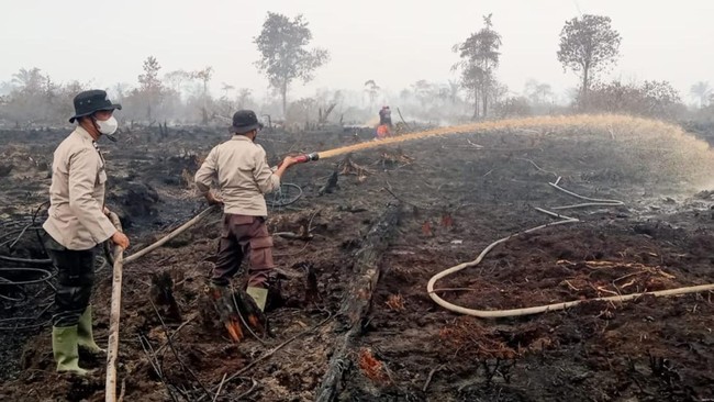 Satgas Lakukan Pendinginan Kebakaran 20 Hektare Lahan di Muaro Jambi