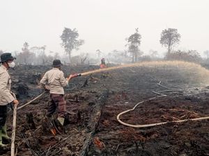 Satgas Lakukan Pendinginan Kebakaran 20 Hektare Lahan di Muaro Jambi