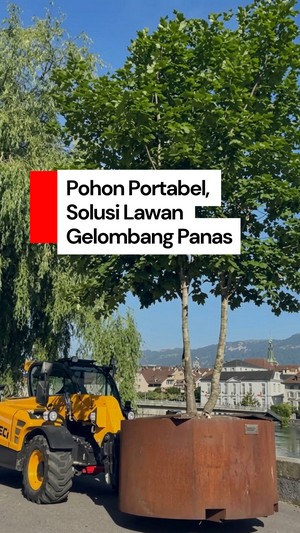 Video: Pohon Portabel, Solusi Kota-kota di Swiss Lawan Gelombang Panas