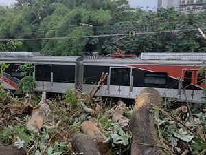 Pohon Tumbang di Antara UI-Pasming Dievakuasi, Perjalanan KRL Kembali Normal