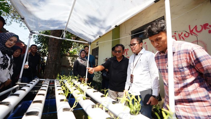 Program Gerakan Masyarakat Budidaya Ayam dan Ikan Lele Asri (GEMBALA)