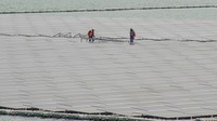 Proyek energi terbarukan tersebut ditargetkan mulai beroperasi pada tahun ini. PLTS terapung Karangkates dibangun dengan kapasitas 100 MWac atau 133 MWp. Kapasitas tersebut diproyeksikan mampu menyediakan listrik yang setara dengan kebutuhan sekitar 35 ribu rumah tangga.  ANTARA FOTO/Irfan Sumanjaya