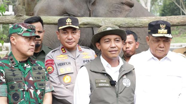 Seekor bayi gajah lahir dari induk Mama Lisa, gajah binaan di Flying Squad Taman Nasional Tesso Nilo (TNTN), Riau. Bayi jantan itu diberi nama Ganesha. (dok Polda Riau)