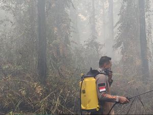 Kebakaran TN Way Kambas Diselidiki, Polda Lampung: Sudah Naik Sidik