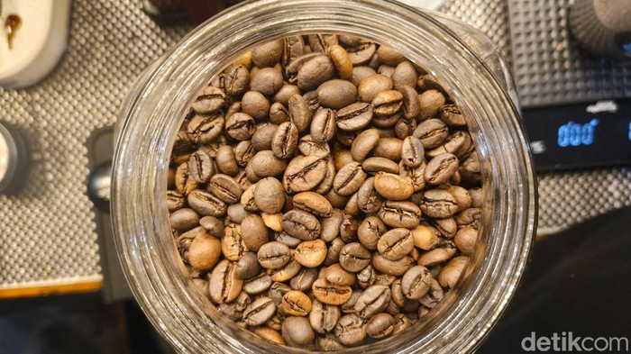 Biji kopi. (Hafizna Irasa Hasibuan/detikSumut)