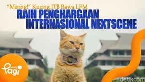 Video: Meong! Kucing ITB Bawa LFM Raih Penghargaan Internasional NextScene 