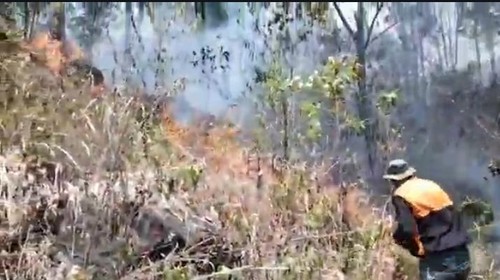 Tangkapan layar kebakaran kawasan Gunung Inerie seluas sekitar 30 ha di Ngada,  NTT, Kamis (1/10/2026). (Dok. BPBD Kabupaten Ngada)