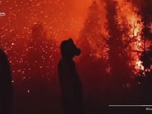 Ini Alasan Karhutla di Sumatera-Kalimantan Sulit Padam Menurut Pakar UGM